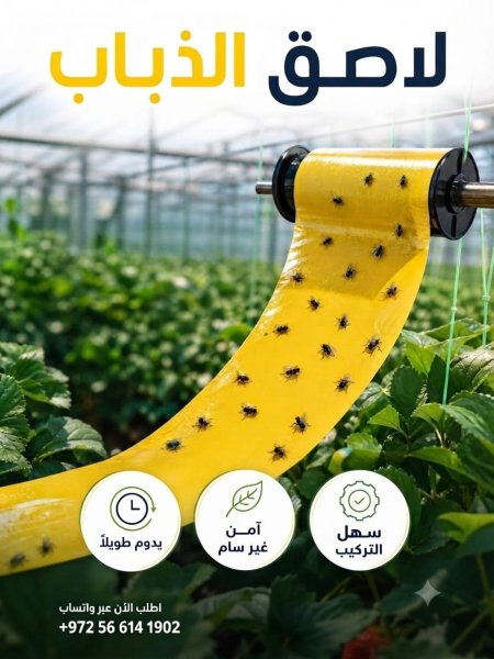 رول صائد الحشرات