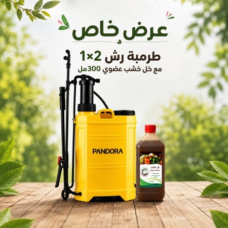 عرض خاص